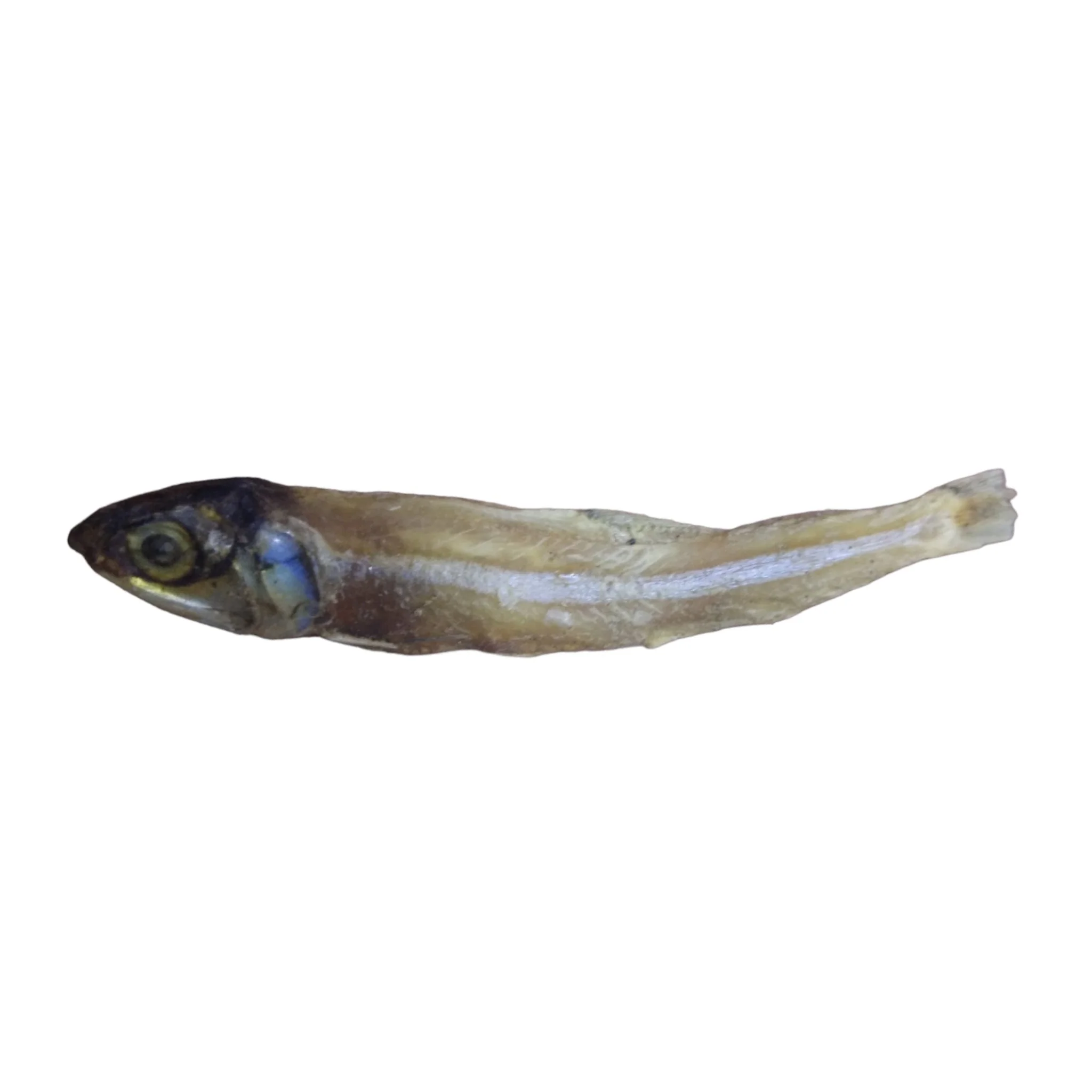Big Size Goa Anchovi / Nethili Dry Fish (பெரிய நெத்திலி கருவாடு)