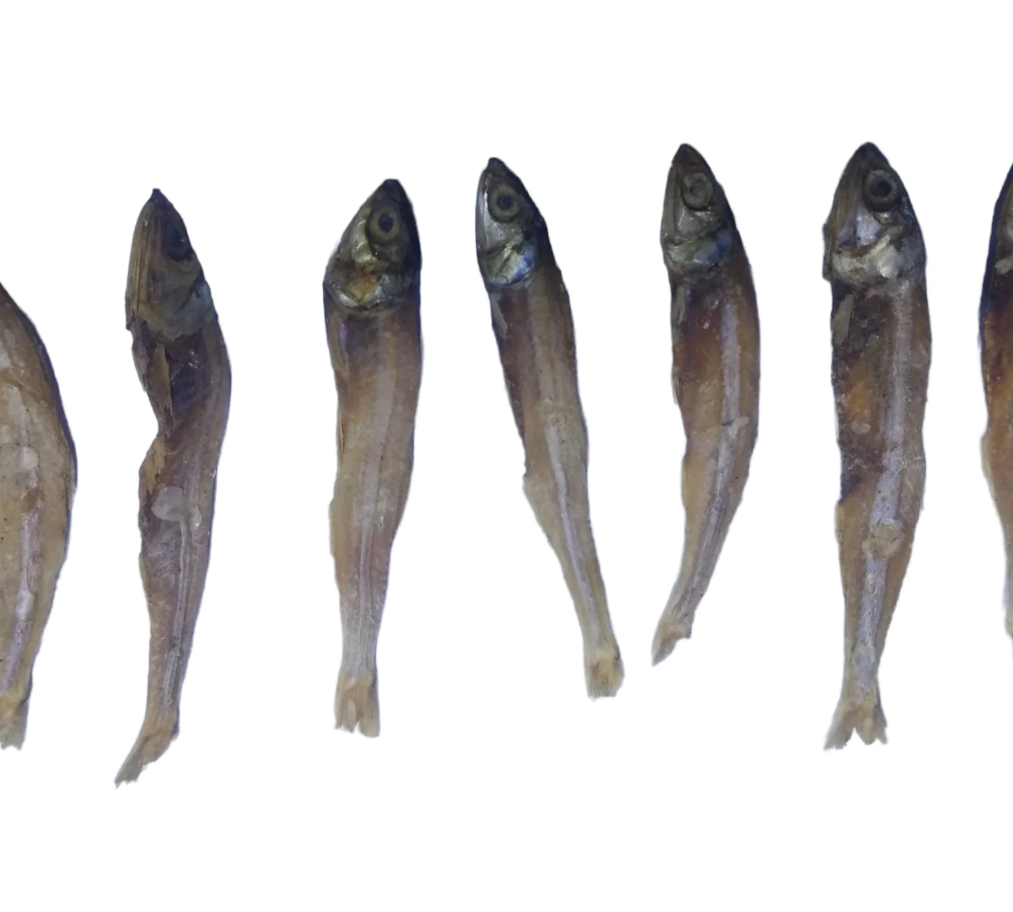 Big Size Goa Anchovi / Nethili Dry Fish (பெரிய நெத்திலி கருவாடு) - Image 3