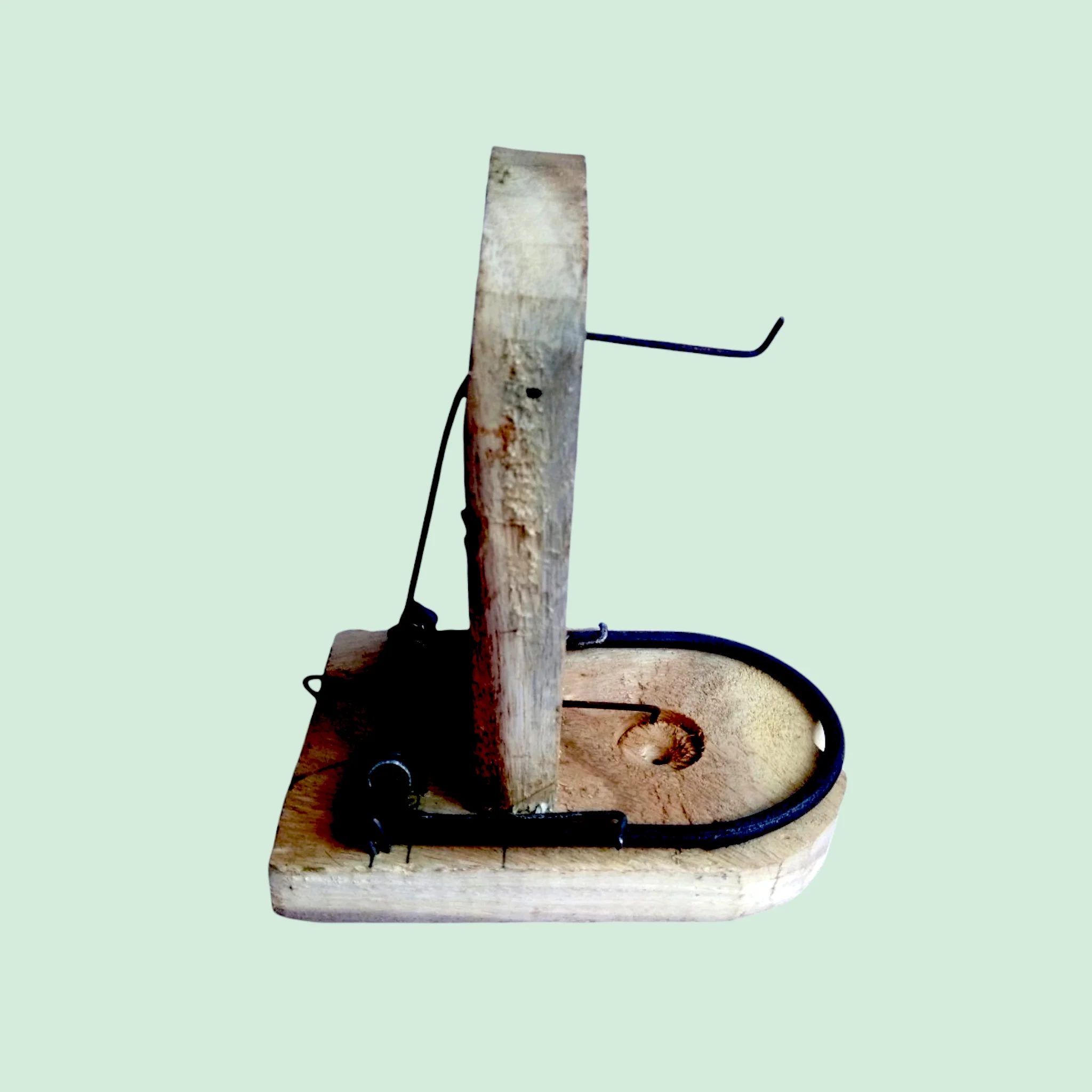 Spring type Auto Wooden Mouse Rat Trap | Mouse Catch